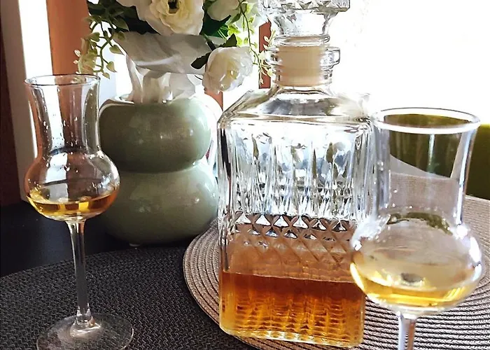 Balkanhill2 S37 Pekovic 公寓